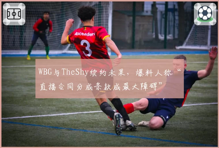 WBG与TheShy续约未果，爆料人称“直播合同分成条款成最大障碍”
